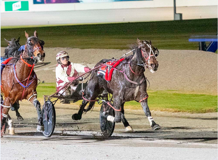 Melton 3 July Winner